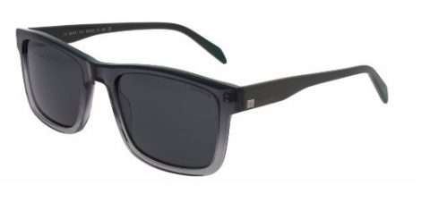 Gafas de sol GUY LAROCHE 36338