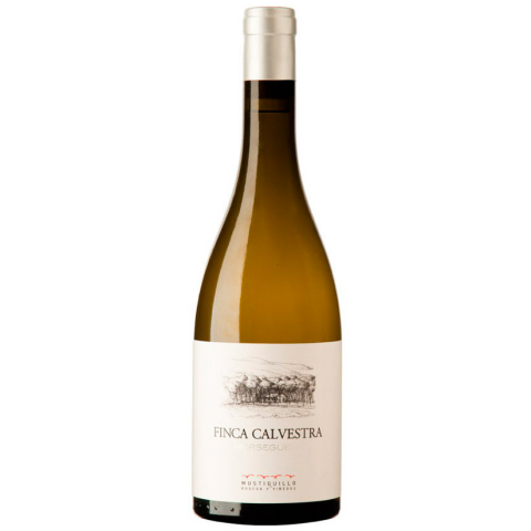 Vino blanco Finca Calvestra 2021